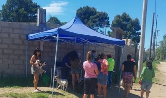 ZOONOSIS: SE REALIZ UNA JORNADA DE ATENCIN EN EL BARRIO GUARAN